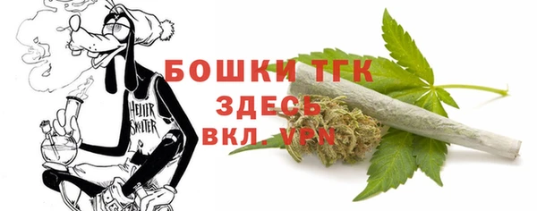 винт Алексин