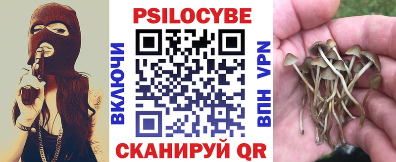 Галлюциногенные грибы Psilocybe Данков